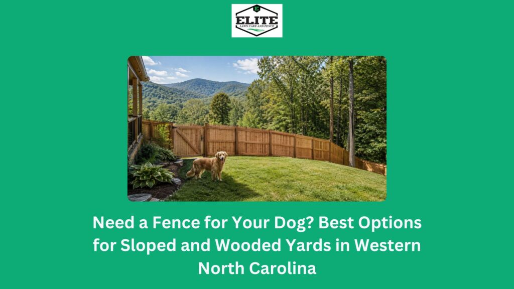 Golden retriever inside a secure wood fence on a sloped wooded property in Western North Carolina